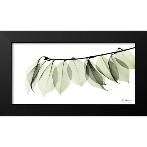 Camelia Leaf In White Black Modern Wood Framed Art Print by Koetsier, Albert