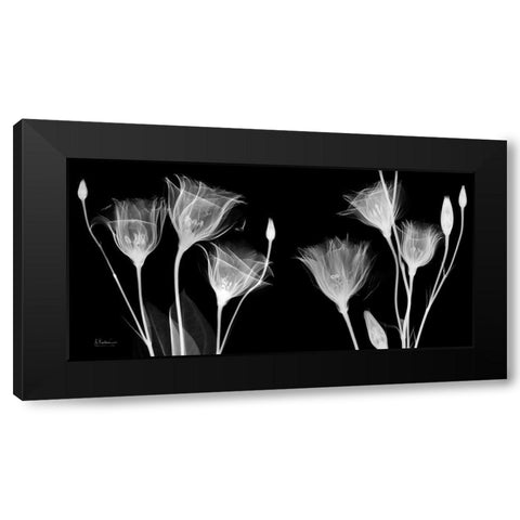 BW Gentian Black Modern Wood Framed Art Print with Double Matting by Koetsier, Albert