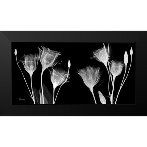 BW Gentian Black Modern Wood Framed Art Print by Koetsier, Albert