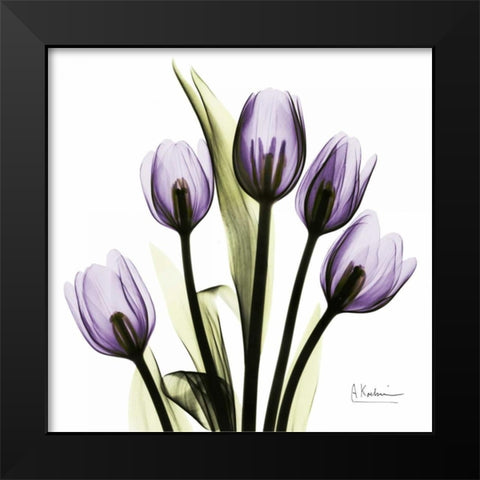 TulipImagine Black Modern Wood Framed Art Print by Koetsier, Albert