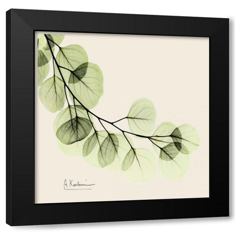 Eucalyptus Black Modern Wood Framed Art Print with Double Matting by Koetsier, Albert