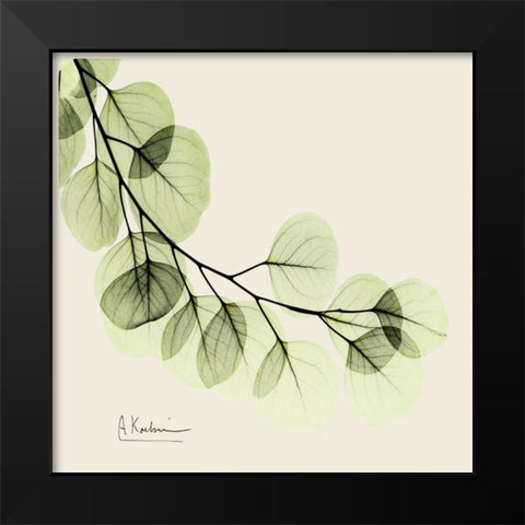 Eucalyptus Black Modern Wood Framed Art Print by Koetsier, Albert