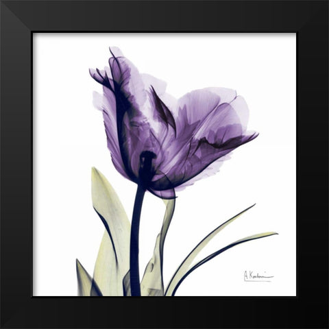 Tulip Dream Black Modern Wood Framed Art Print by Koetsier, Albert