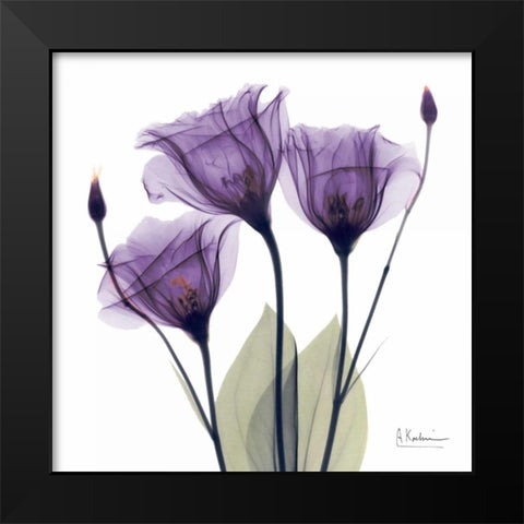 Gentian Hope Black Modern Wood Framed Art Print by Koetsier, Albert