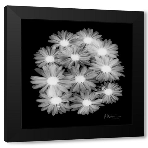 Margarithe X-Ray Black Modern Wood Framed Art Print by Koetsier, Albert