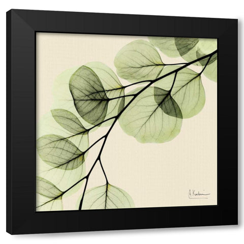 Mint Eucalyptus 1 Black Modern Wood Framed Art Print with Double Matting by Koetsier, Albert