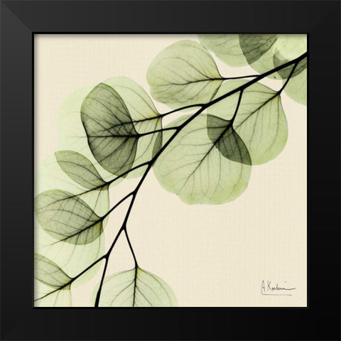 Mint Eucalyptus 1 Black Modern Wood Framed Art Print by Koetsier, Albert