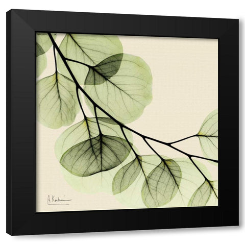 Mint Eucalyptus 2 Black Modern Wood Framed Art Print with Double Matting by Koetsier, Albert