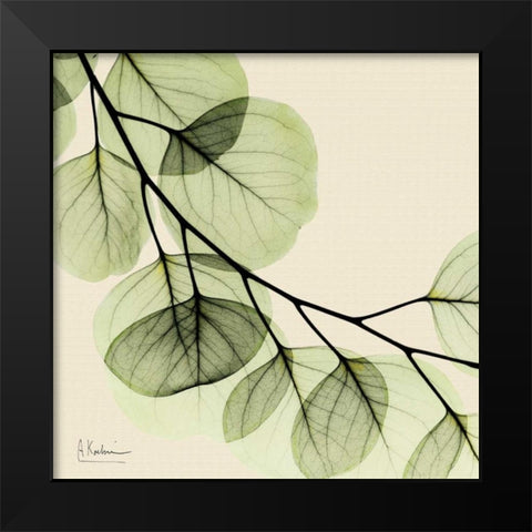 Mint Eucalyptus 2 Black Modern Wood Framed Art Print by Koetsier, Albert