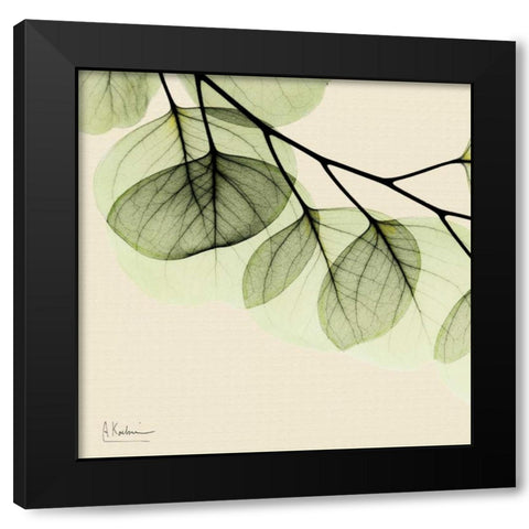 Mint Eucalyptus 3 Black Modern Wood Framed Art Print with Double Matting by Koetsier, Albert