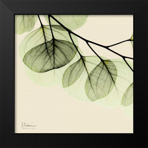 Mint Eucalyptus 3 Black Modern Wood Framed Art Print by Koetsier, Albert