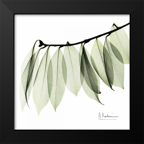 Camelia Leaf In White Black Modern Wood Framed Art Print by Koetsier, Albert