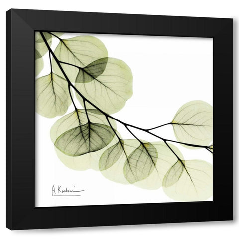 Mint Eucalyptus 2 Black Modern Wood Framed Art Print with Double Matting by Koetsier, Albert