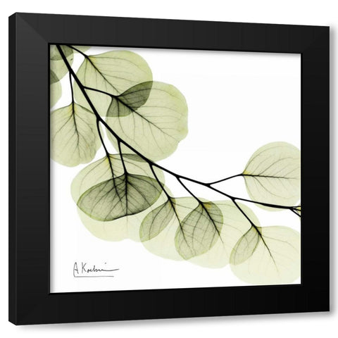 Mint Eucalyptus 2 Black Modern Wood Framed Art Print by Koetsier, Albert