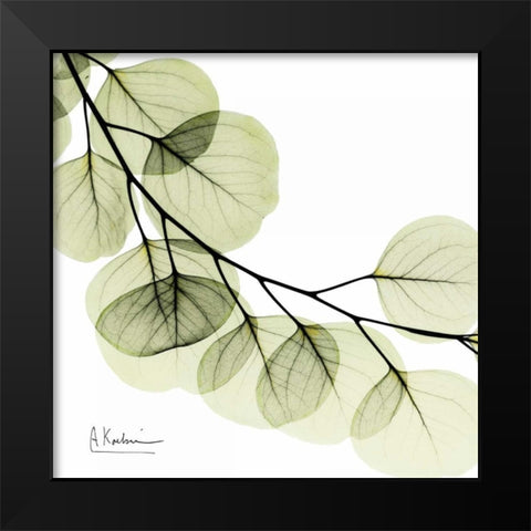 Mint Eucalyptus 2 Black Modern Wood Framed Art Print by Koetsier, Albert