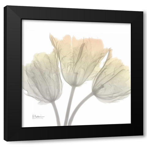 Sunday Morning Tulips Black Modern Wood Framed Art Print with Double Matting by Koetsier, Albert