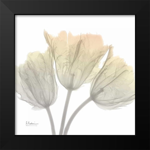 Sunday Morning Tulips Black Modern Wood Framed Art Print by Koetsier, Albert