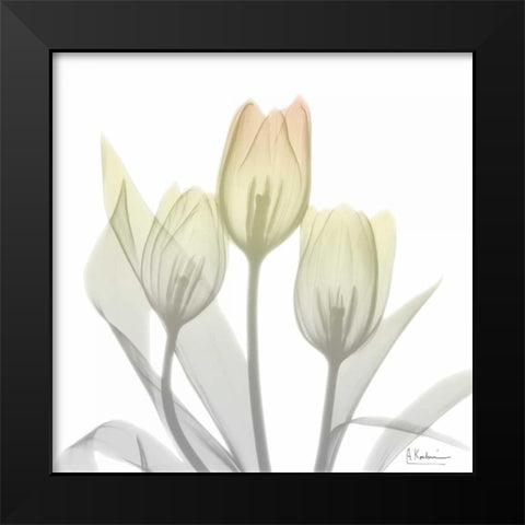 Sunday Morning Tulips Two Black Modern Wood Framed Art Print by Koetsier, Albert