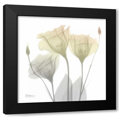 Sunday Morning Gentian Black Modern Wood Framed Art Print by Koetsier, Albert