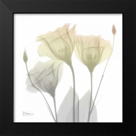 Sunday Morning Gentian Black Modern Wood Framed Art Print by Koetsier, Albert