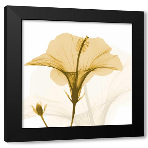 Orange Hibiscus Wave Black Modern Wood Framed Art Print by Koetsier, Albert