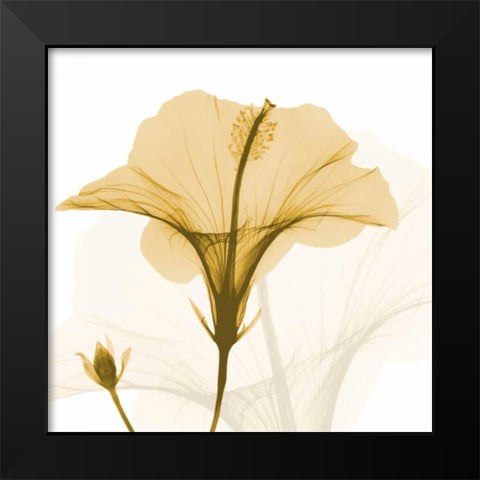 Orange Hibiscus Wave Black Modern Wood Framed Art Print by Koetsier, Albert