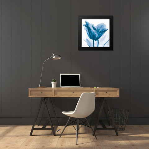 Lusty Blue Tulip Black Modern Wood Framed Art Print by Koetsier, Albert