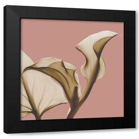 Luster Callaqua Black Modern Wood Framed Art Print with Double Matting by Koetsier, Albert