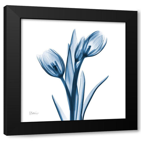 Tulips Indigo Black Modern Wood Framed Art Print with Double Matting by Koetsier, Albert