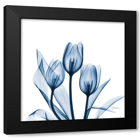 Tulips Indigo Black Modern Wood Framed Art Print with Double Matting by Koetsier, Albert