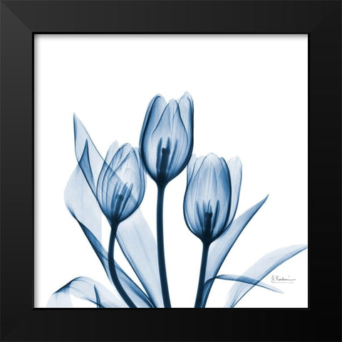 Tulips Indigo Black Modern Wood Framed Art Print by Koetsier, Albert