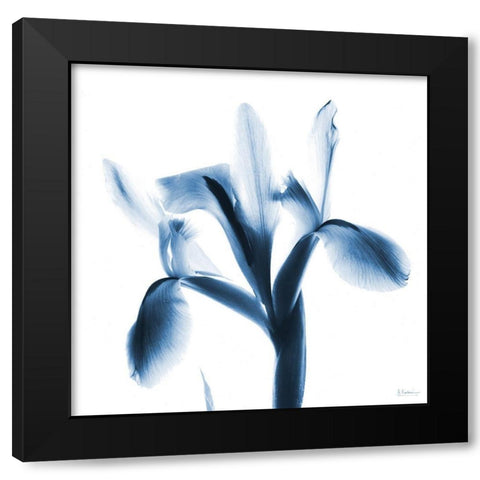 Le Flur Indigo Black Modern Wood Framed Art Print with Double Matting by Koetsier, Albert