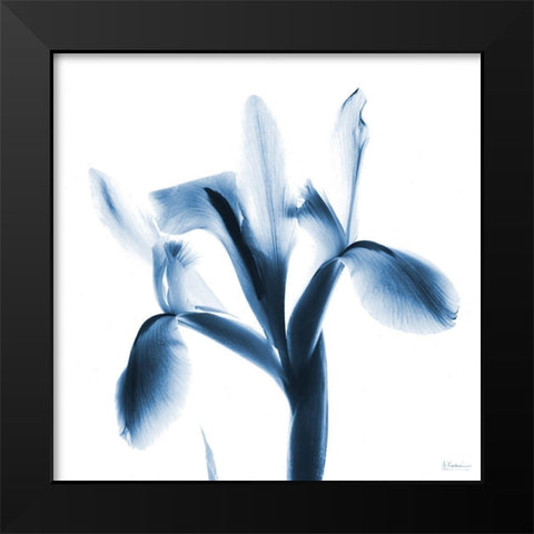 Le Flur Indigo Black Modern Wood Framed Art Print by Koetsier, Albert