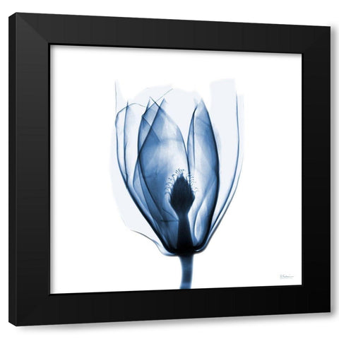 Magnolia Indigo Black Modern Wood Framed Art Print with Double Matting by Koetsier, Albert