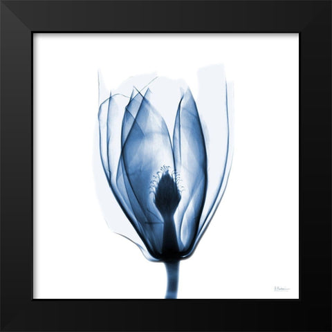 Magnolia Indigo Black Modern Wood Framed Art Print by Koetsier, Albert