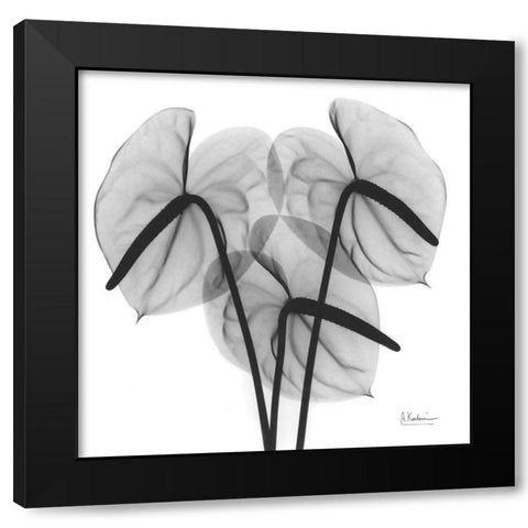 Flamingo 2 Black Modern Wood Framed Art Print with Double Matting by Koetsier, Albert