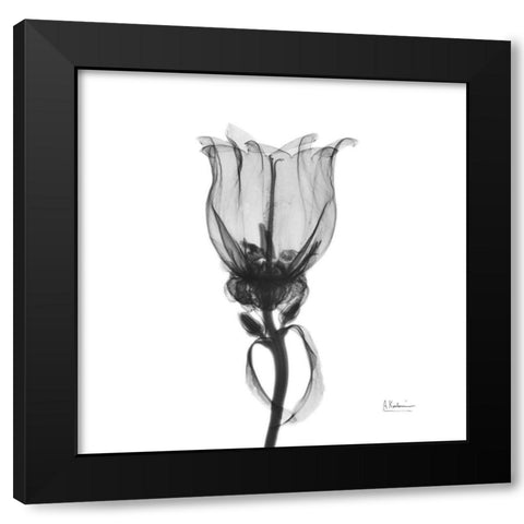 Canterbury Bell Black Modern Wood Framed Art Print with Double Matting by Koetsier, Albert