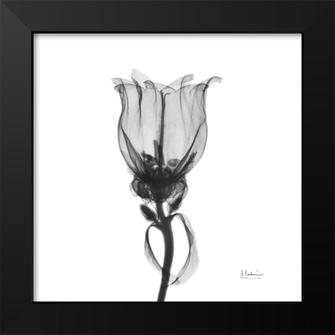 Canterbury Bell Black Modern Wood Framed Art Print by Koetsier, Albert