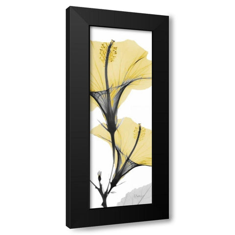 Hibiscus Yellow Black Modern Wood Framed Art Print with Double Matting by Koetsier, Albert