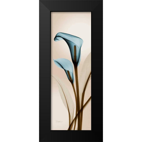 Blue Calla Lily Black Modern Wood Framed Art Print by Koetsier, Albert