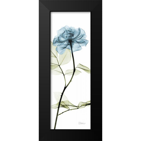 Long Blue Rose Black Modern Wood Framed Art Print by Koetsier, Albert