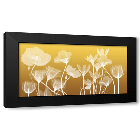 Transparent Flora Black Modern Wood Framed Art Print by Koetsier, Albert