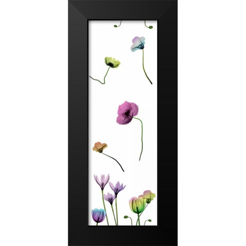 Floral Rainbow Pattern Black Modern Wood Framed Art Print by Koetsier, Albert