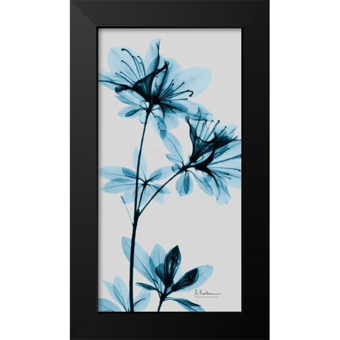 Blue Azalea Black Modern Wood Framed Art Print by Koetsier, Albert