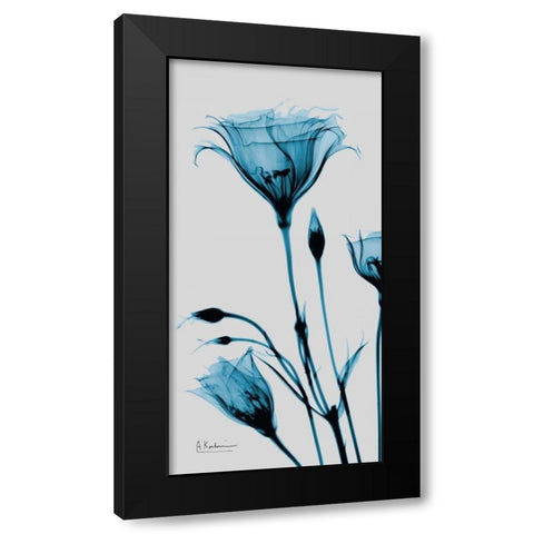 Blue Gentian Black Modern Wood Framed Art Print with Double Matting by Koetsier, Albert