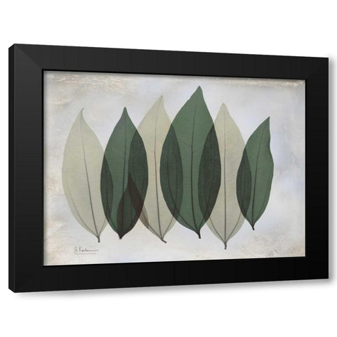 The Grays 1 Black Modern Wood Framed Art Print by Koetsier, Albert