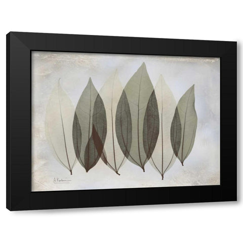 Coculus Leaf L348 Black Modern Wood Framed Art Print with Double Matting by Koetsier, Albert