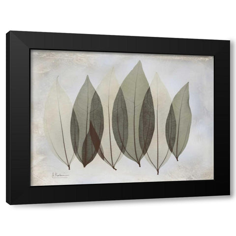 Coculus Leaf L348 Black Modern Wood Framed Art Print by Koetsier, Albert