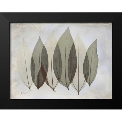 Coculus Leaf L348 Black Modern Wood Framed Art Print by Koetsier, Albert