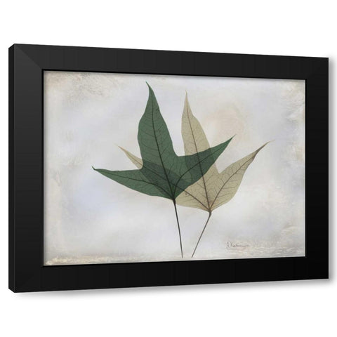 The Grays 2 Black Modern Wood Framed Art Print with Double Matting by Koetsier, Albert